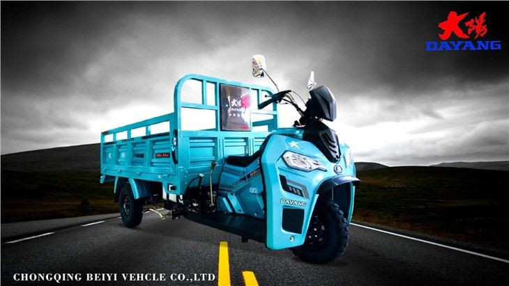 200cc Customized Cargo Motor Tricycle CCC
