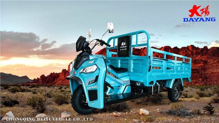 200cc Customized Cargo Motor Tricycle