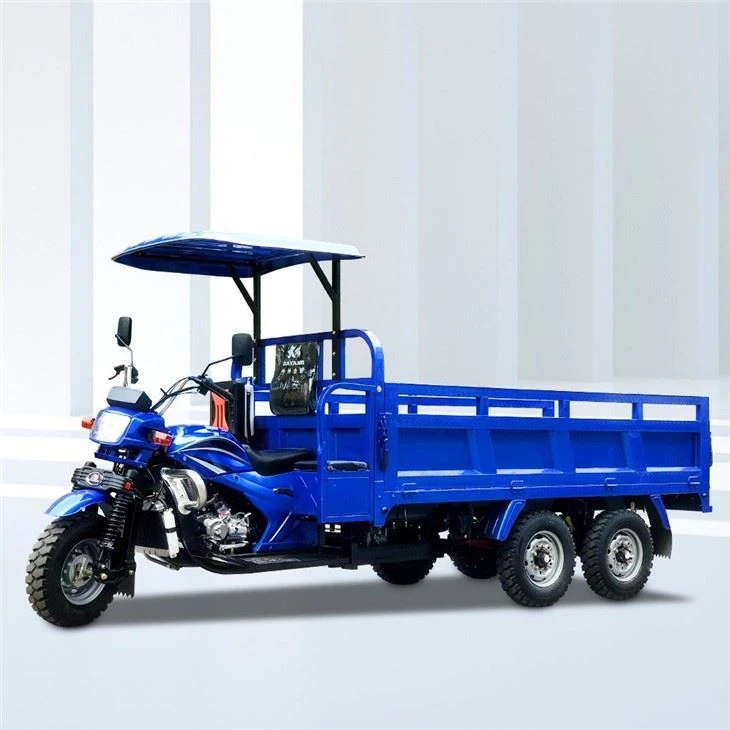 Double Rear Axle Heavy Load motorized Tricycle on sale