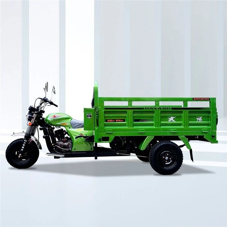 Electric Start cargo Motorized Tricycle custom