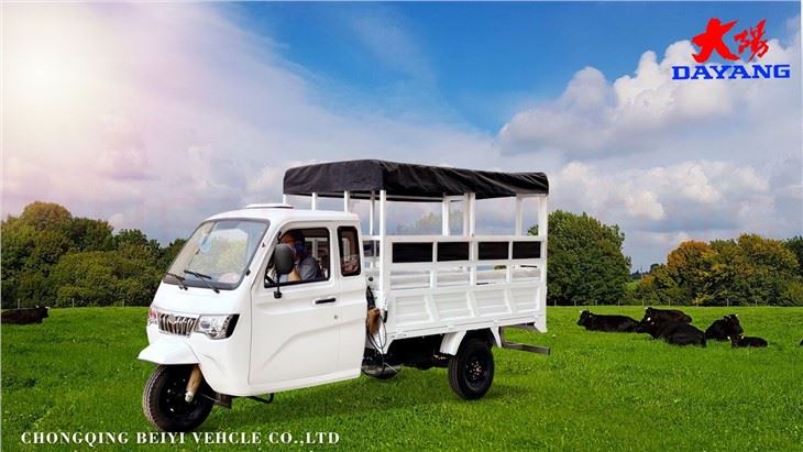 Heavy Loading Cargo Tricycle With Cover