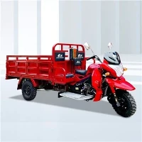 300cc motorkipper met 3 wielen