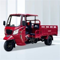 320cc Moto Carga