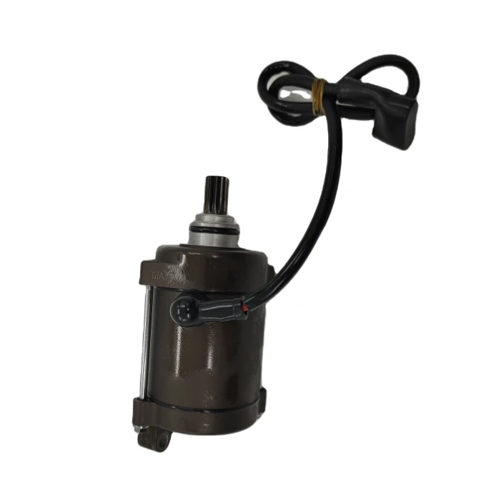 DAYANG LF150cc 250cc Motorfiets Motor Starten Dynamo Motor High Power Voor Driewieler Motor Onderdelen Hoge Kwaliteit