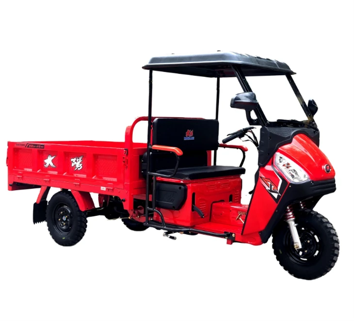 Hot Selling China New Arrival Gasoline Motorized Tricycles With Plastic Cabin