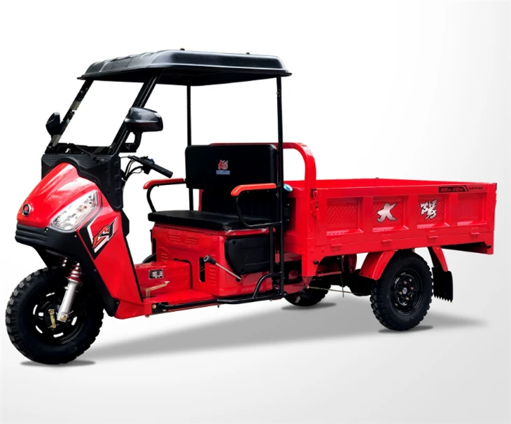 Hot Selling China New Arrival Gasoline Motorized Tricycles With Plastic Cabin