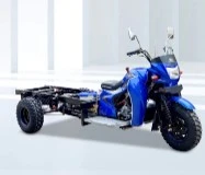 DAYANG Nieuwe 300cc benzine driewieler vrachtdriewieler