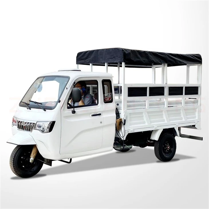 Petrol Tuk Tuk Cars