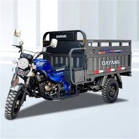 Hoge kwaliteit 300cc auto-riksja